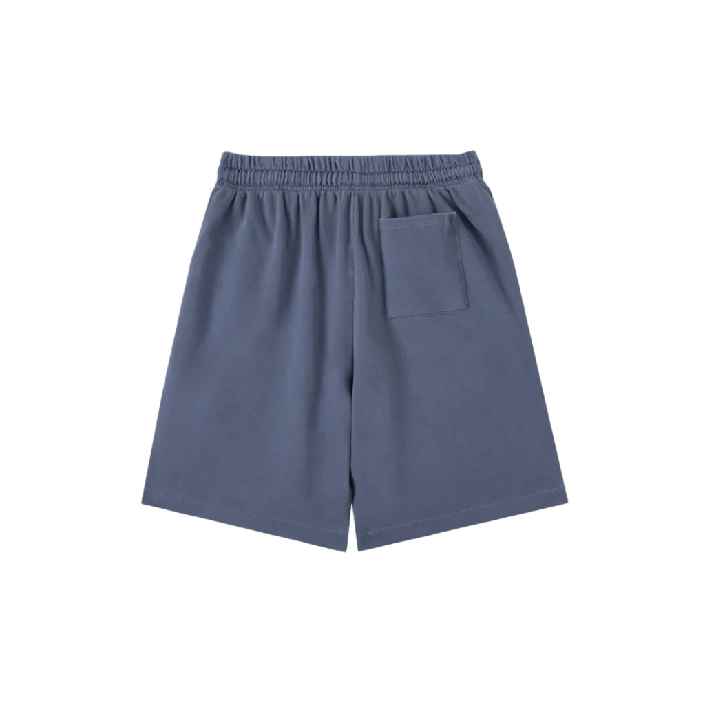Foundation Vintage Wash Shorts