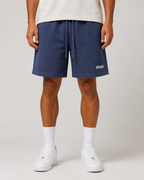Foundation Vintage Wash Shorts